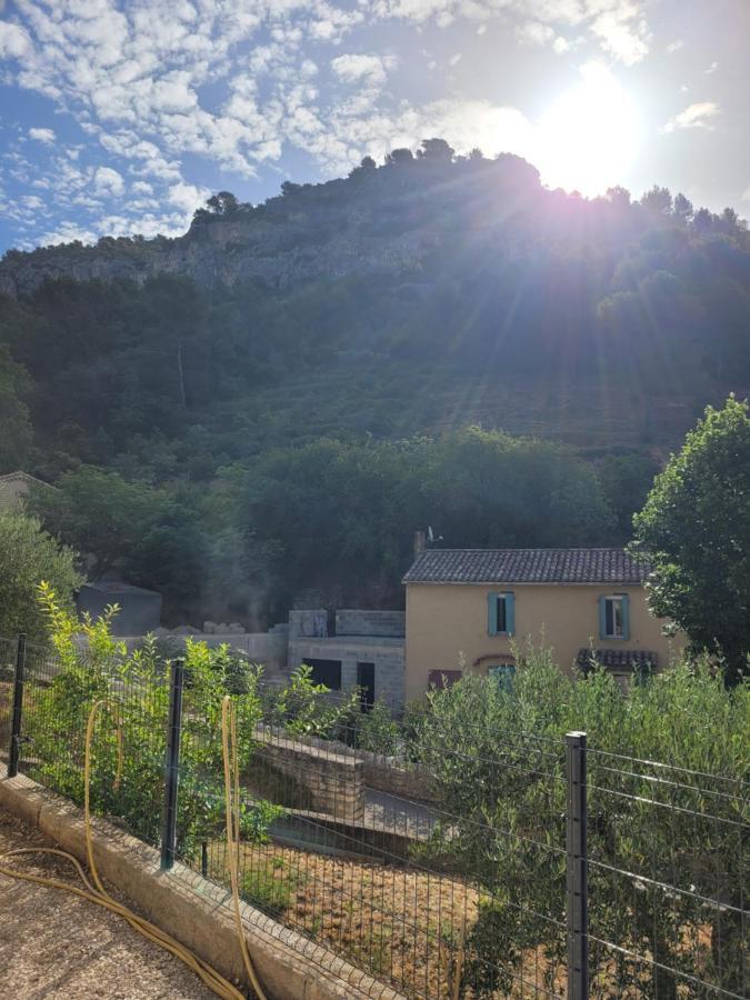 L'Oustau De Laetitia Animaux Bienvenus Villa Fontaine-de-Vaucluse Exteriör bild